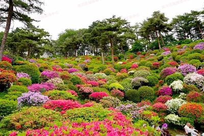 七月南川新景 蔬菜種植新去處，休閑農業新體驗