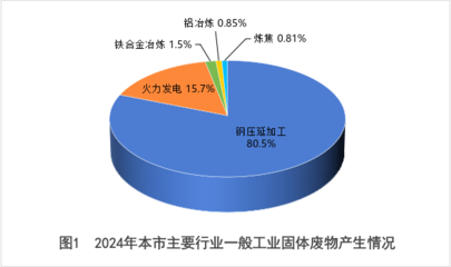 嘉峪關市2024年固體廢物污染環境防治信息公告——聚焦鋼壓延加工行業